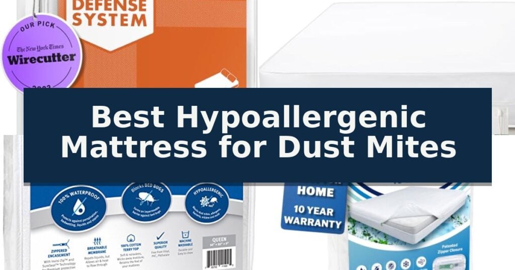 Best Hypoallergenic Mattress for Dust Mites