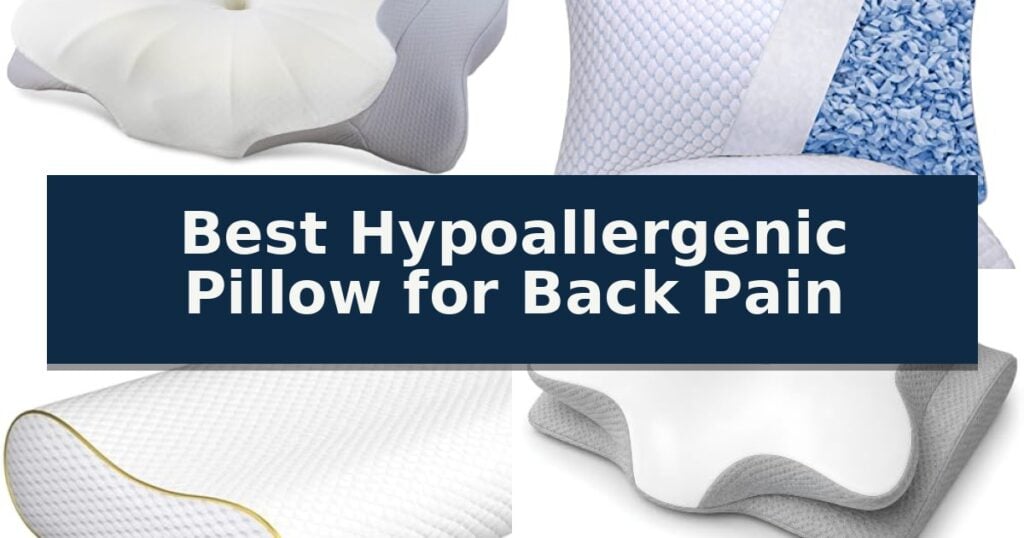 Best Hypoallergenic Pillow for Back Pain