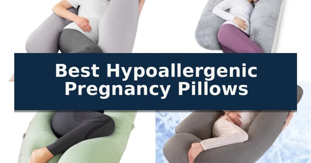 Best Hypoallergenic Pregnancy Pillows