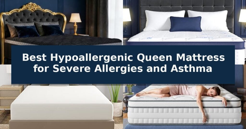 Best Hypoallergenic Queen Mattress for Severe Allergies and Asthma