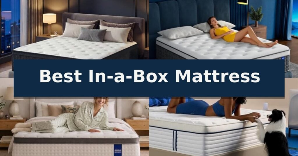 Best In-a-Box Mattress