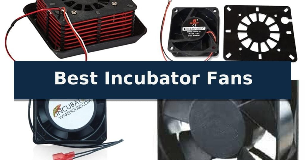 Best Incubator Fans