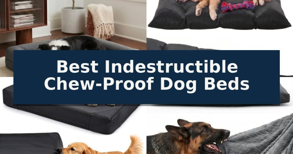 Best Indestructible Chew-Proof Dog Beds