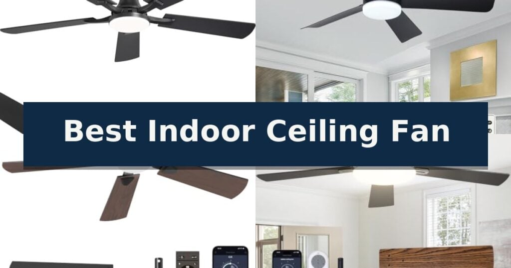 Best Indoor Ceiling Fan