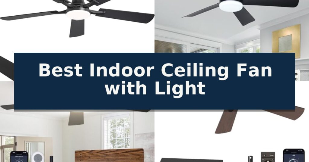 Best Indoor Ceiling Fan with Light